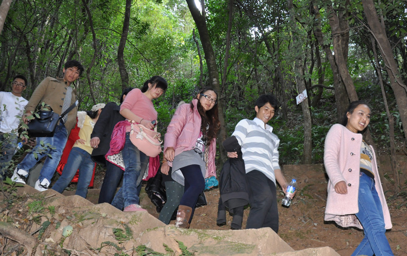 青龍峽位于昆明西郊安寧市青龍鎮(zhèn)滇中生態(tài)大峽谷中，景區(qū)有保存較為完好的植物群落，遮天蔽日的參天古木；有浪漫山花，野果飄香，還有清秀寧靜的田園風(fēng)光。河谷沿岸古柳成蔭，幾十里的云南櫻花大道成為昆明郊游靚麗的風(fēng)景線。景區(qū)中溪水潺潺，千姿百態(tài)、千奇百怪的蔓藤風(fēng)光隨處可見，號稱“都市身旁的小九寨。